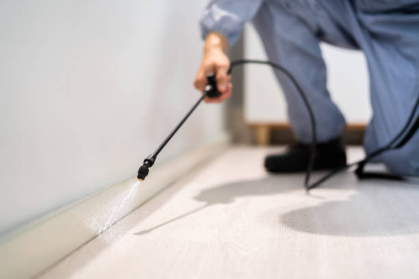 Bed Bug Pre-Treatment Preparation Assessment in Hattiesburg