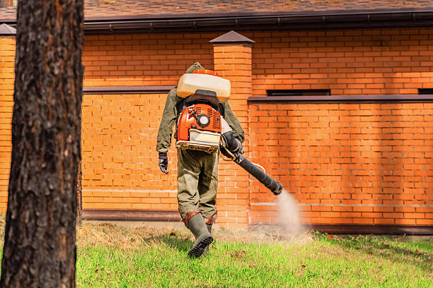 Bed Bug Clearance Verification and Documentation in Hattiesburg